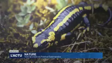 Mission nature!