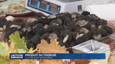 La Truffe séduit un large public à Bonvillars