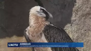 Le zoo de la garenne a un nouveau pensionnaire