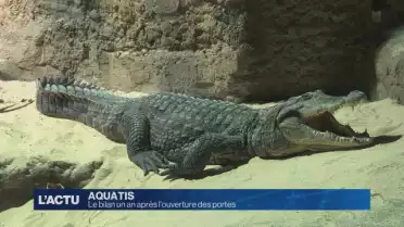 Un premier bilan pour Aquatis