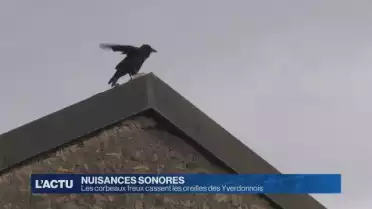 L&#039;Actu [S.2018][E.243]