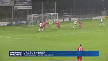 Yverdon Sport solide dauphin