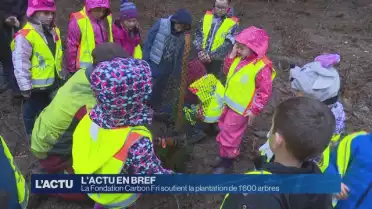 La Fondation Carbon Fri plante 1&#039;600 arbres