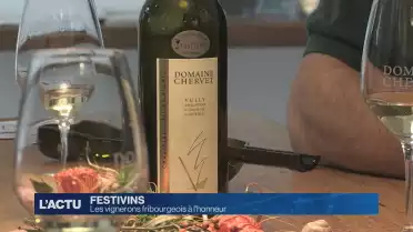 43 exposants sont attendus à Festivins 2018