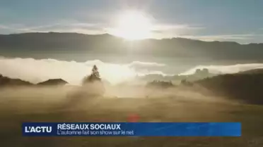Retour sur le meilleur du web