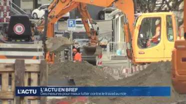 Fribourg veut mieux lutter contre le travail au noir