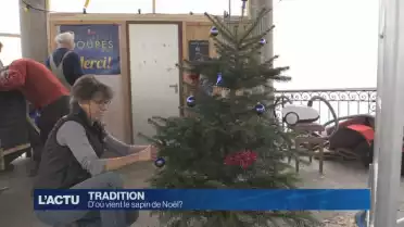 D&#039;où vient le sapine de Noël ?