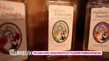 Du gin aux fruits et fleurs fribourgeois