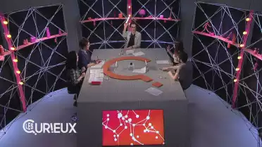 Émission érotico-téléphonico-socio-chocolatée
