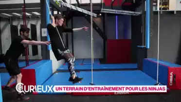 Un terrain d'entraînement pour les ninjas