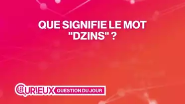 Que signifie le mot &quot;Dzins&quot; ?