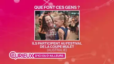 La coupe mulet a son propre festival