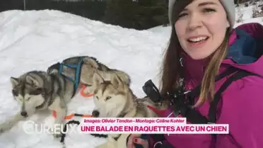 Une balade en raquettes avec un chien