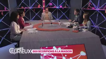 Le meilleur des Curieux
