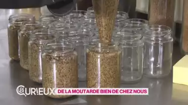 De la moutarde bien de chez nous