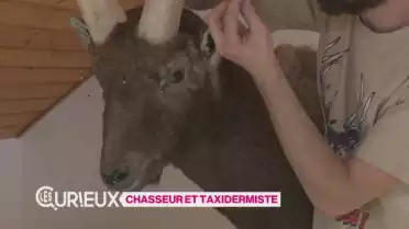 Chasseur et taxidermiste