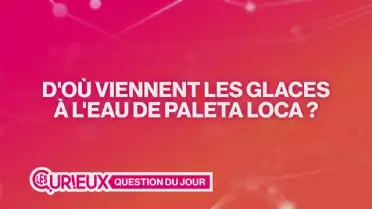 D&#039;où viennent les glaces à l&#039;eau de Paleta Loca ?