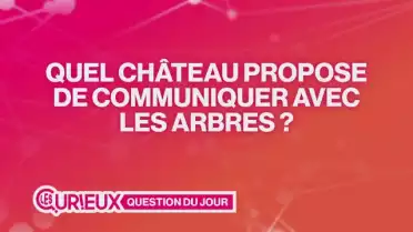Quel château propose de communiquer avec les arbres ?