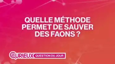 Quelle méthode permet de sauver des faons ?