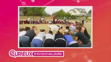 Un cours de yoga avec des chèvres