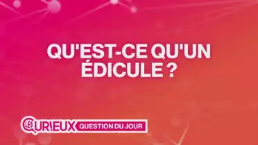 Qu&#039;est-ce qu&#039;un édicule ?