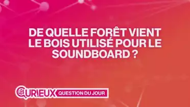 De quelle forêt vient le bois utilisé pour le Soundboard ?