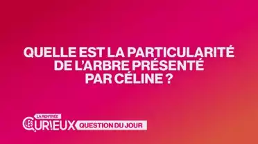 Quelle est la particularité de l&#039;arbre présenté par Céline ?