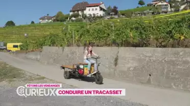 Conduire un tracasset