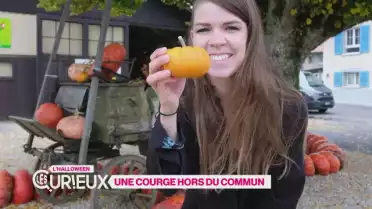Une courge hors du commun