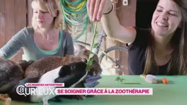Se soigner grâce à la zoothérapie