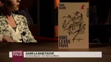 Dans la baie fauve