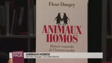 Animaux homos