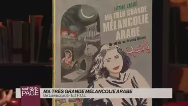 Ma très grande mélancolie arabe