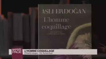 L&#039;homme coquillage