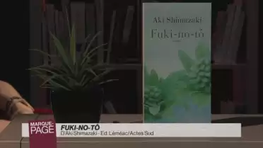 Fuki-no-tô