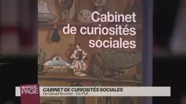 Cabinet de curiosités sociales