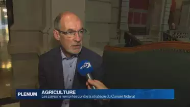 Les paysans remontés contre la stratégie du Conseil fédéral