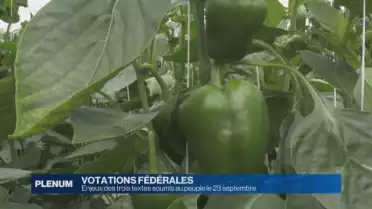 Enjeux des trois textes soumis au peuple le 23 septembre