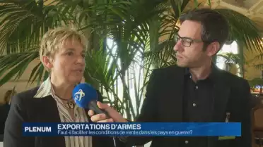 Armes: faut-il faciliter les conditions de vente?