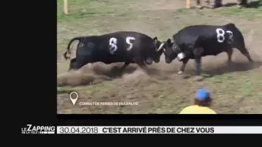 Le Zapping de La Télé