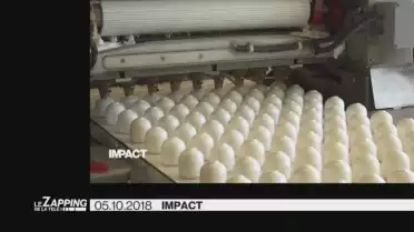 Le Zapping de La Télé