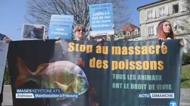 Manifestation antispéciste à Fribourg