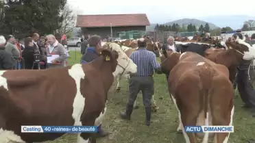 Actu Dimanche [S.2019][E.16]