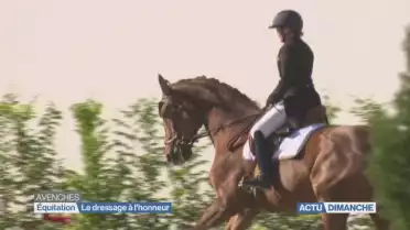 Rendez-vous équestre à Avenches