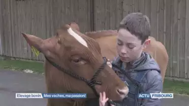 Mes vaches ma passion !