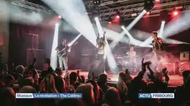 La révélation &quot;The Catlins&quot;