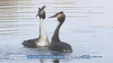 &quot;Caméra nature&quot;, une web-série créée par des jeunes