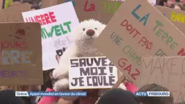 Grève mondiale du climat