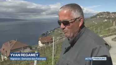 Vignes fribourgeoises entre des mains vaudoises