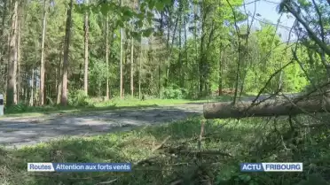 Le vent tient la Police cantonale en alerte